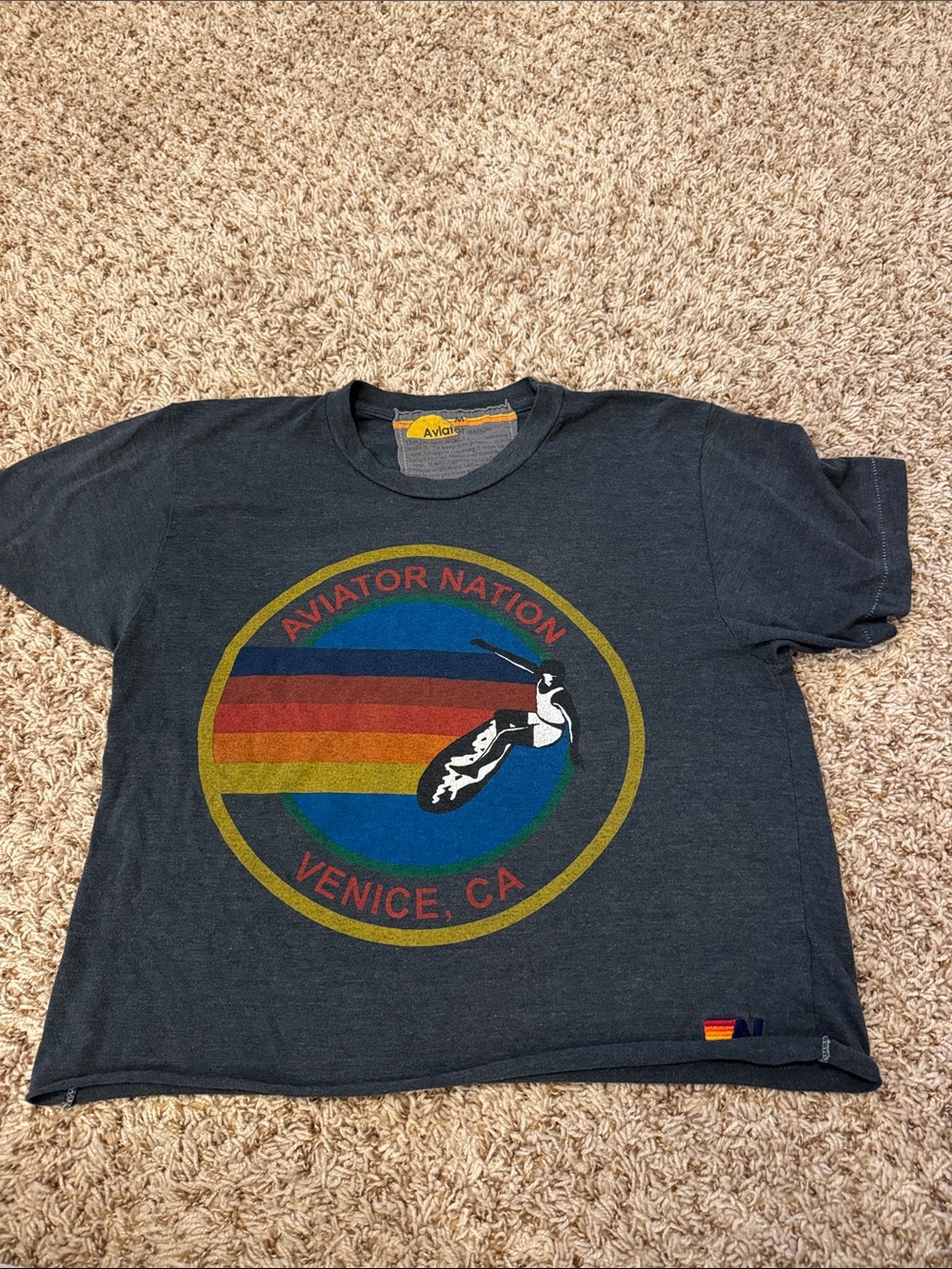 Aviator Nation Charcoal Tee with Multicolor Stripe & Skier Graphic